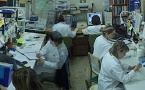 Convocatòria estudiants col·laboradors 2016-17